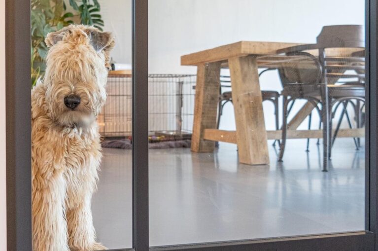 Gezonde vloer in Friesland