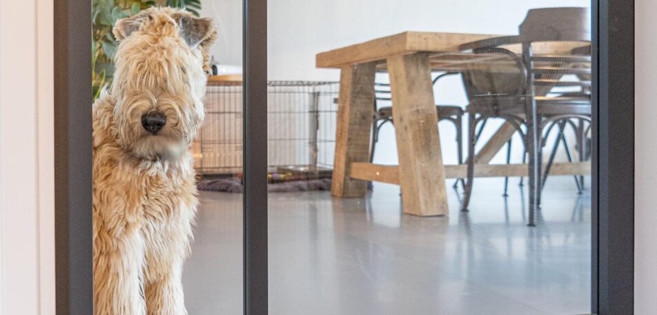 Gezonde vloer in Friesland